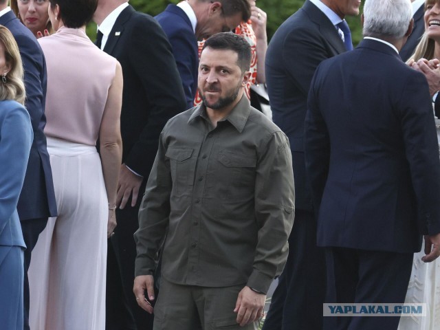 Так в ОАЭ встречают российскую делегацию