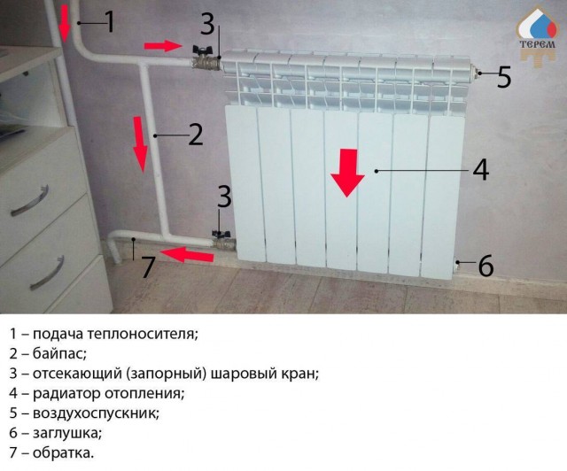 Бойцовые старухи