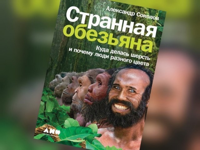 Какие вы книги прочитали последние?