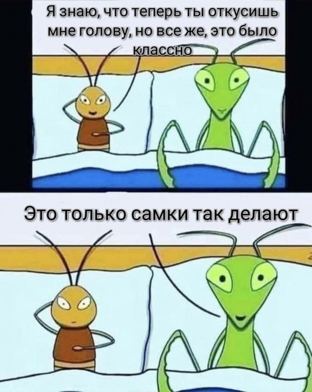 Всего понемногу. От 20.05.2024