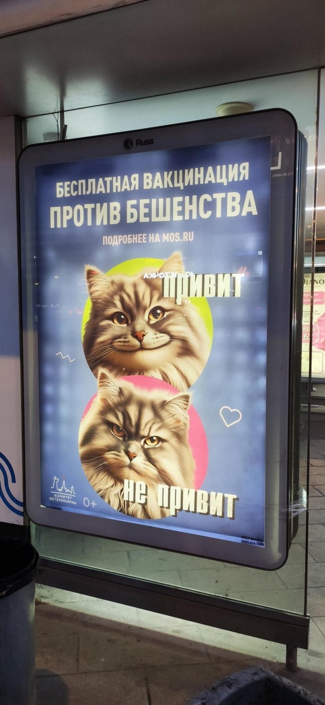 Всего понемногу. От 22.05.2024