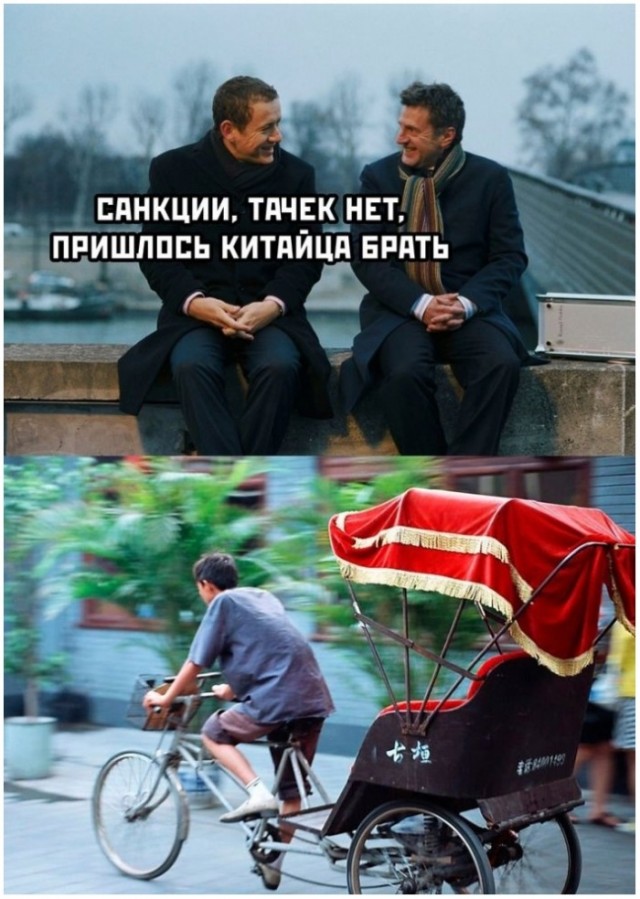 Весёлый полтишок 05.08.24