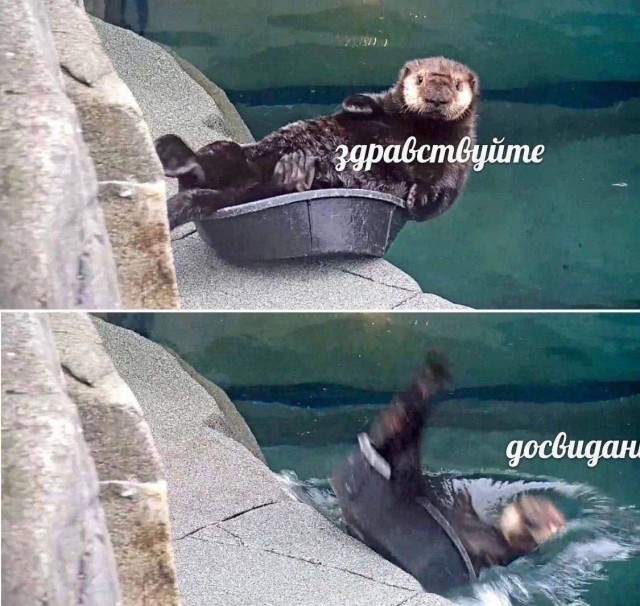 Завалялось тут случайно немного забавных картинок