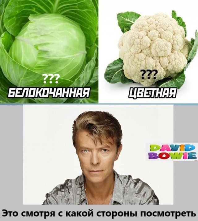 Рок-приколы 11
