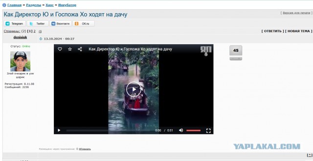 Bad Guy на музыкальном инструменте саньсянь