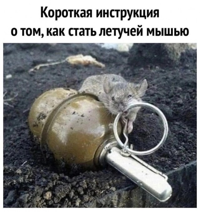 Завалялось тут случайно немного забавных картинок