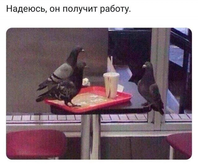 Так себе картинки 25.02.25