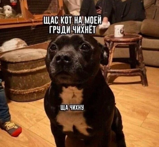 Так себе картинки 20.03.25