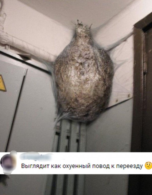 Завалялось тут случайно немного забавных картинок