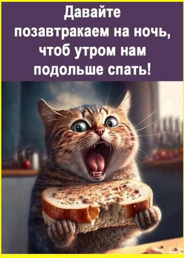 ТРРРидцать тРРРи от 26 мая