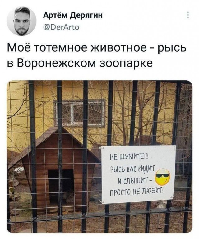 Подборка мемчиков за пол дня