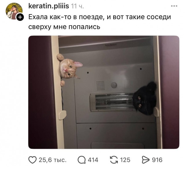 Завалялось тут случайно немного забавных картинок