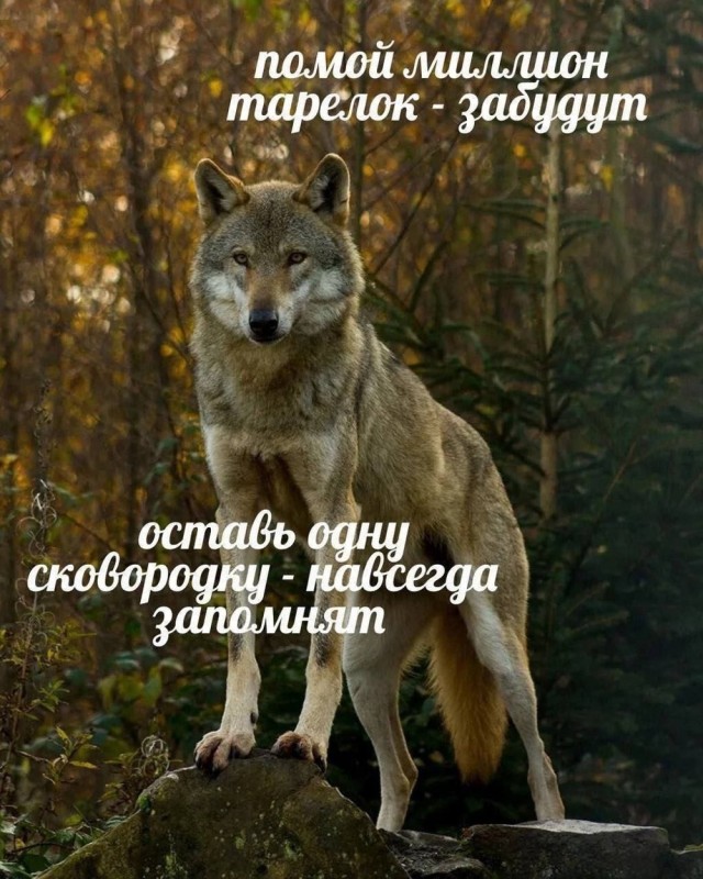 Так себе картинки 13.09.25