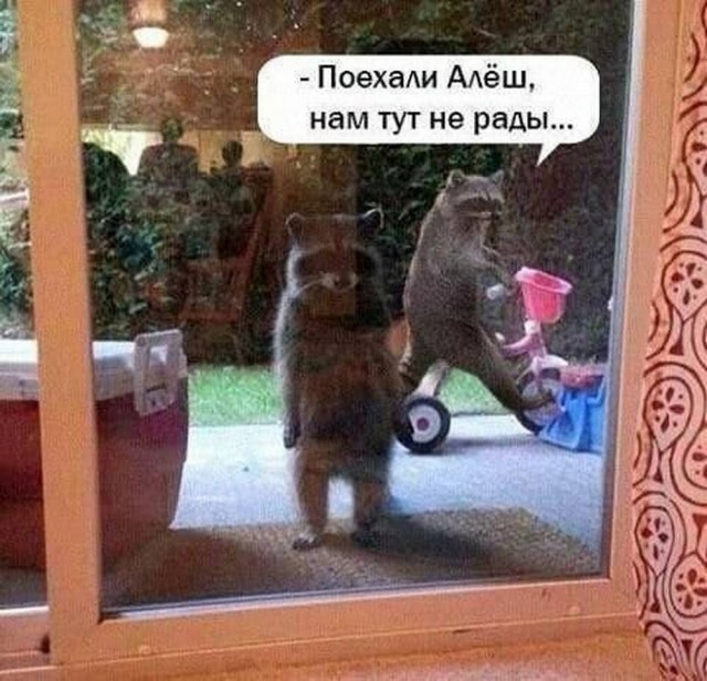 Веселые картинки в маленькую пятницу (17.09)