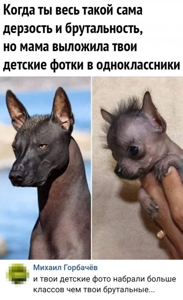 Воскресные картинки