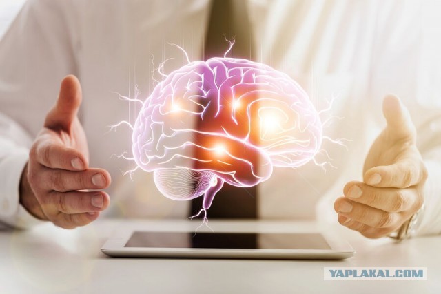 N&BR: предложен третий путь объяснения сознания — биологический компьютеризм