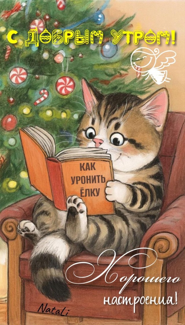 Прикольные и просто красивые картинки 06.01. 2026