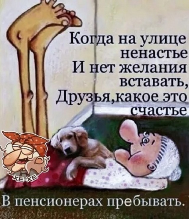 Так себе картинки 15.02.26
