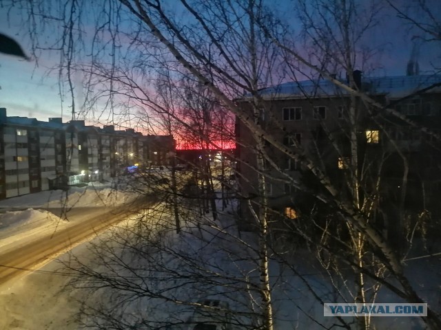 Литературное заведение "Буквица"