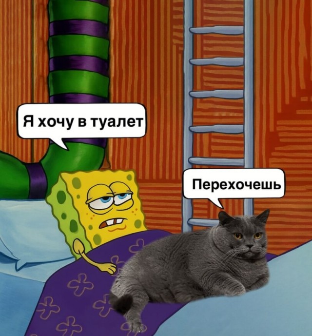 Картиночки, баянчики 21 марта