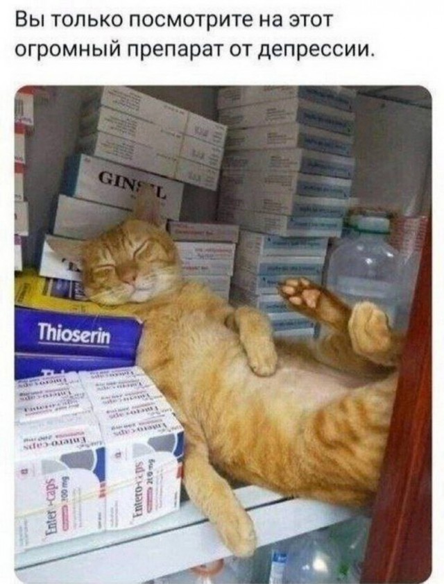 Вторника картинки
