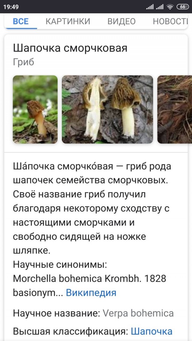 Литературное заведение "Буквица"