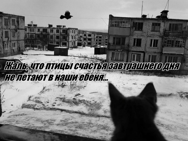 Глаза в глаза