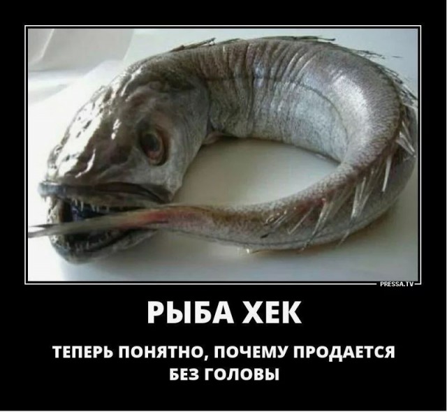 Она питается пираньями