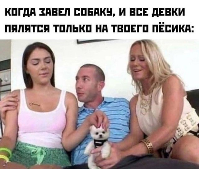 Веселые картинки в понедельник (13.07)