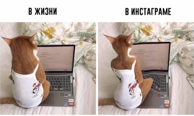 Веселые картинки в пятницу (07.08)