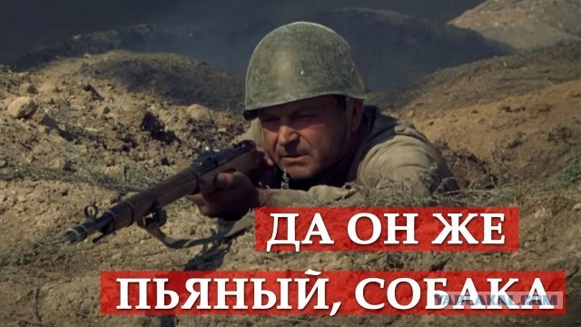 Понял, что хочу в тайгу. Наболело.