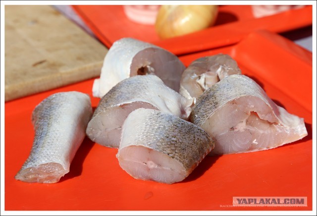 Международный чемпионат ухи 2013