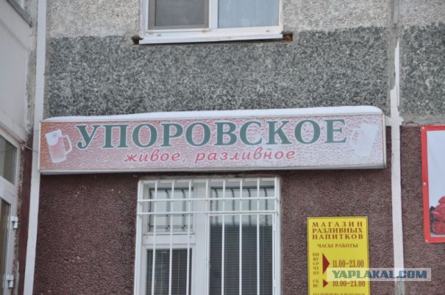 Синонимы слова "пиво" от тюменских креативщиков