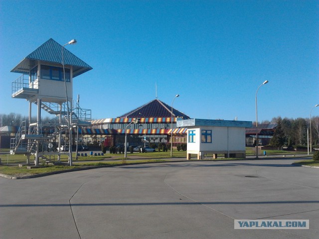 Где яблоки растут!