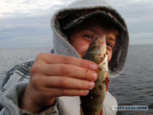 Вуокса 2014