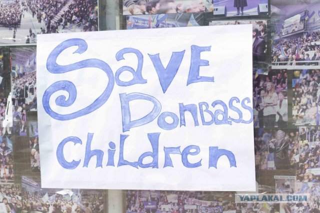 Прокиевский батальон «Донбасс» приехал «посмотреть