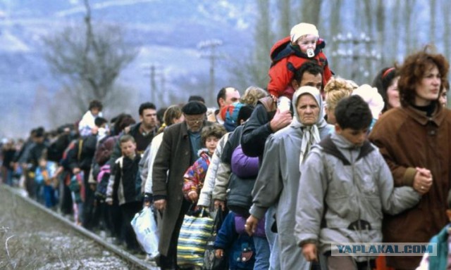 Беженцы Украины