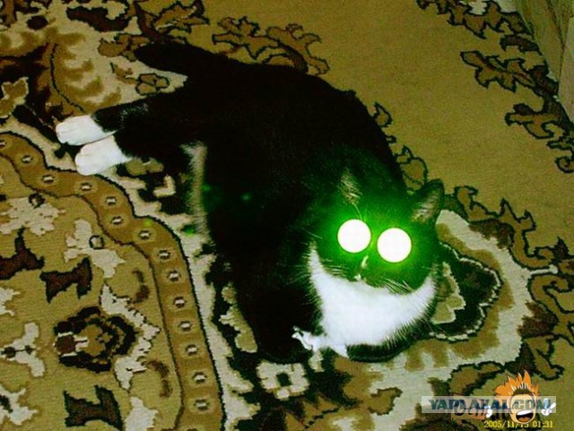 Полбака урана