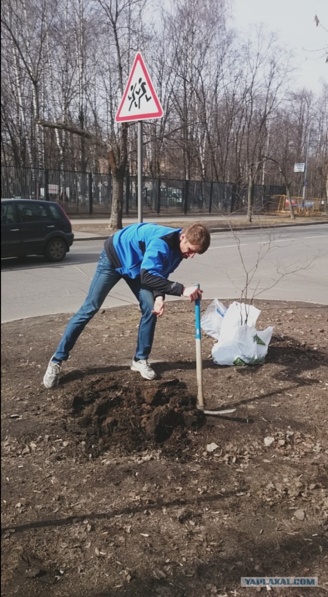 Мой метод борьбы с парковкой на газоне