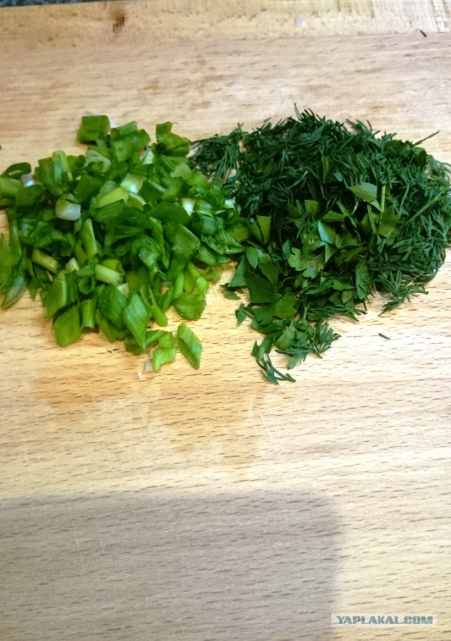 Куриные лепешки с........ курицей