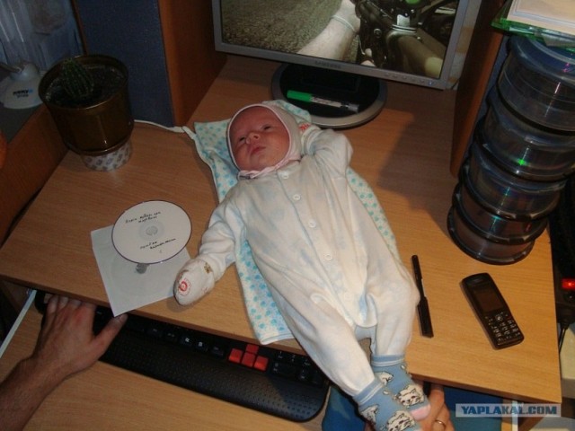 Мочи его, папка!