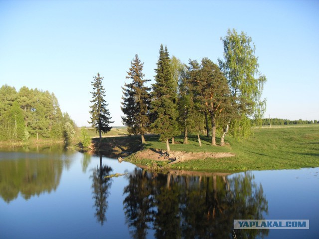 Плот.