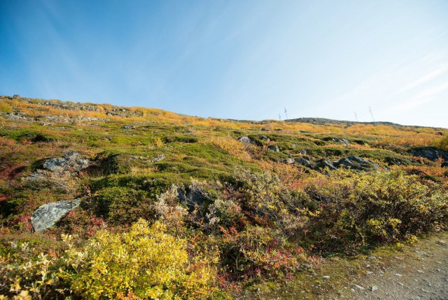 Поездка на Кольский полуостров.