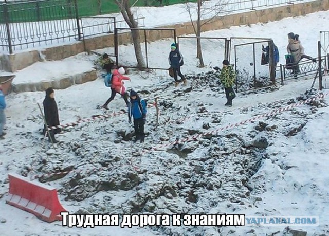 Приколы из сети