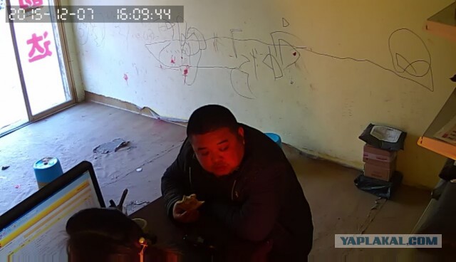За что я люблю китайцев
