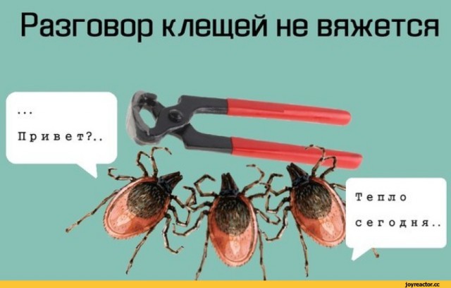 Абсурдный юмор ч.2