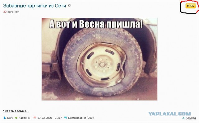 Забавные картинки из Сети