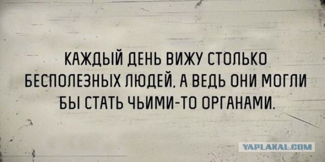 Подборка фото из соцсетей