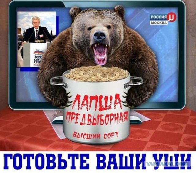 Это видео покорило весь интернет