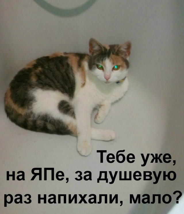 Куриная голень горячего копчения. С картошкой.